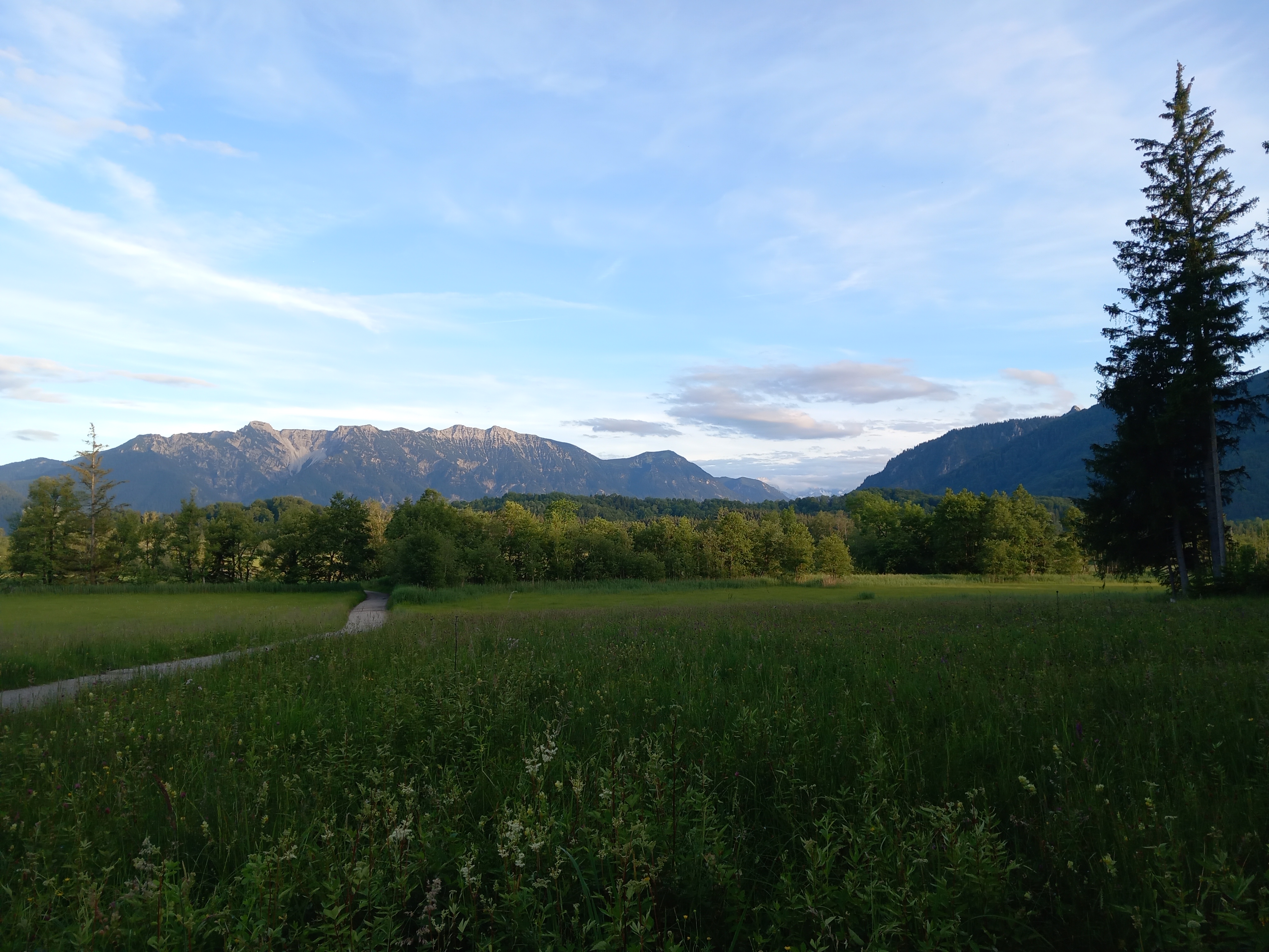 Maximilian Miller - 1